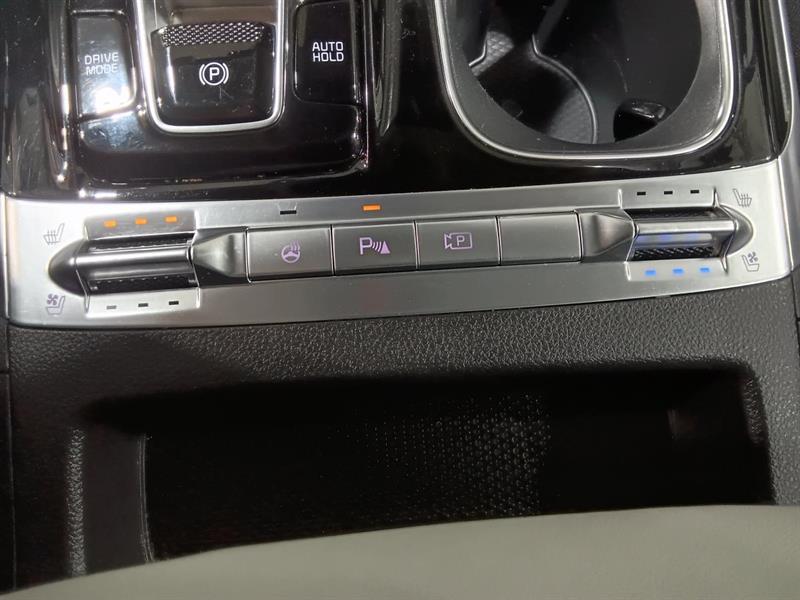 kia Carnival 2024 - 33