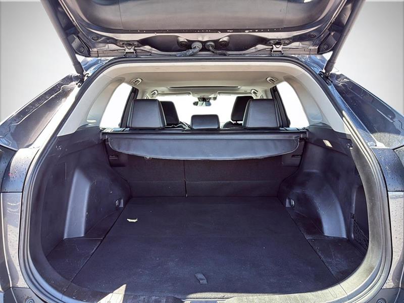 toyota RAV4 2024 - 23