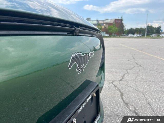 ford Mustang Mach-E 2024 - 12