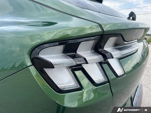 ford Mustang Mach-E 2024 - 14