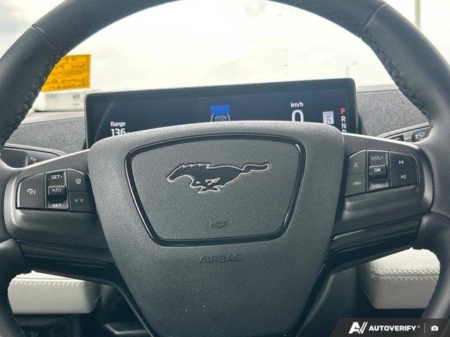 ford Mustang Mach-E 2024 - 19
