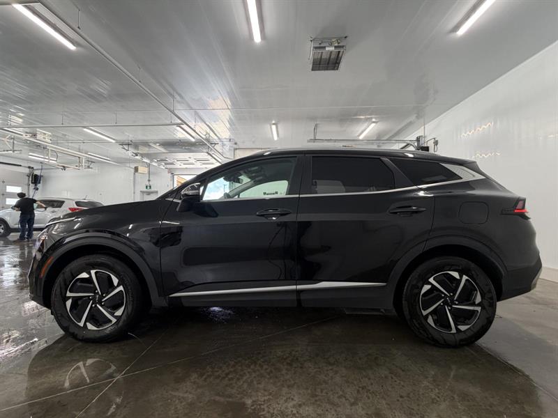 kia Sportage 2024 - 2