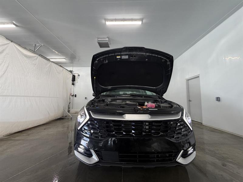 kia Sportage 2024 - 12