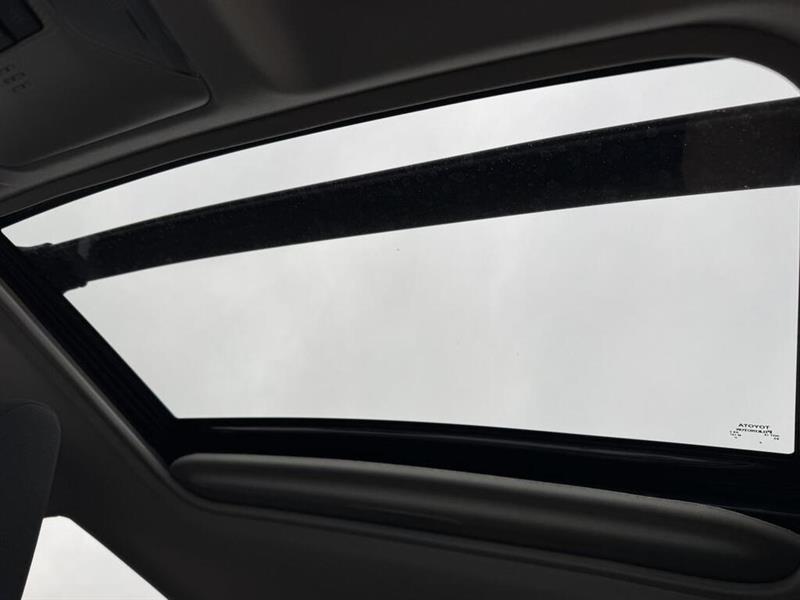 toyota RAV4 Hybrid 2024 - 17