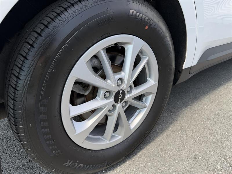 kia Carnival 2024 - 6