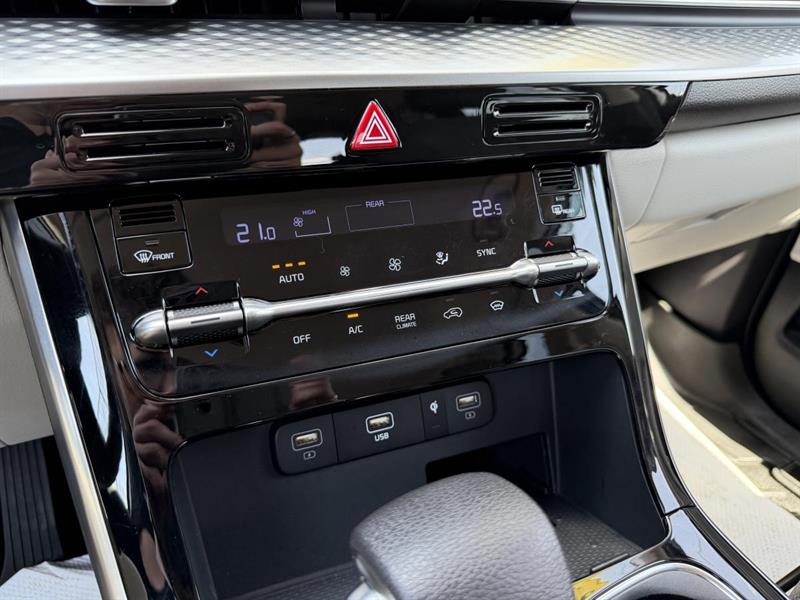 kia Carnival 2024 - 16
