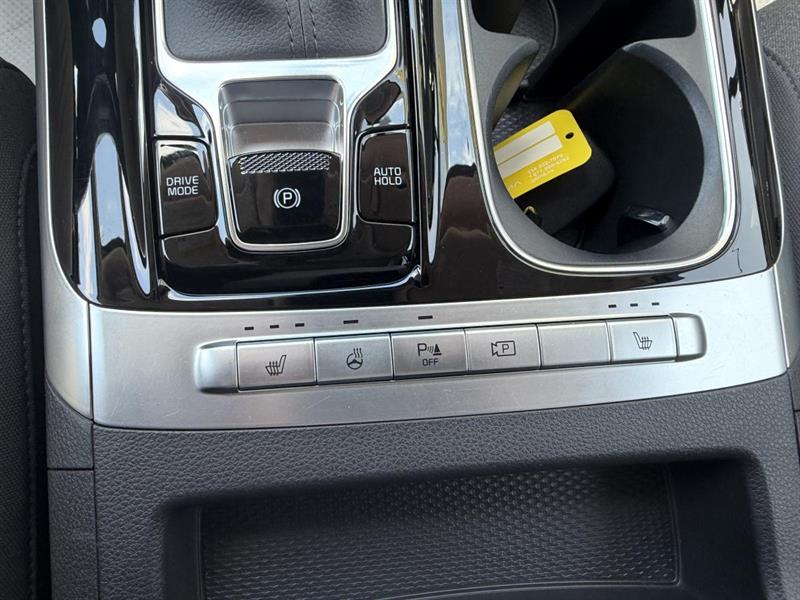 kia Carnival 2024 - 18