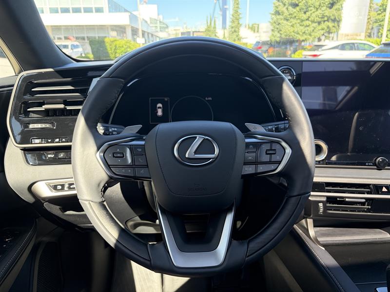 lexus RX 2024 - 9