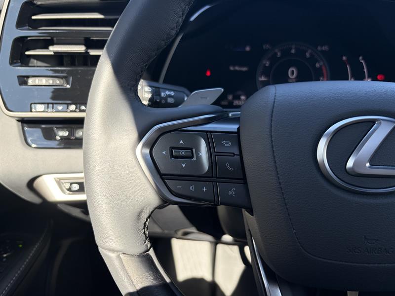lexus RX 2024 - 10