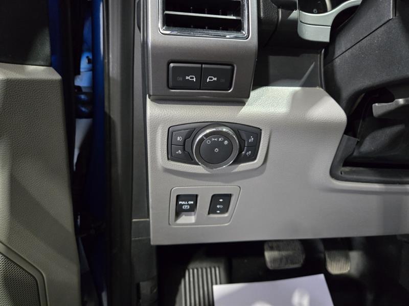 ford F-150 2019 - 14