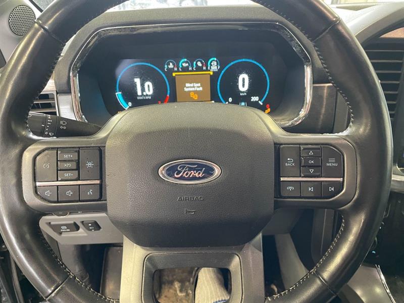 ford F-150 2022 - 14