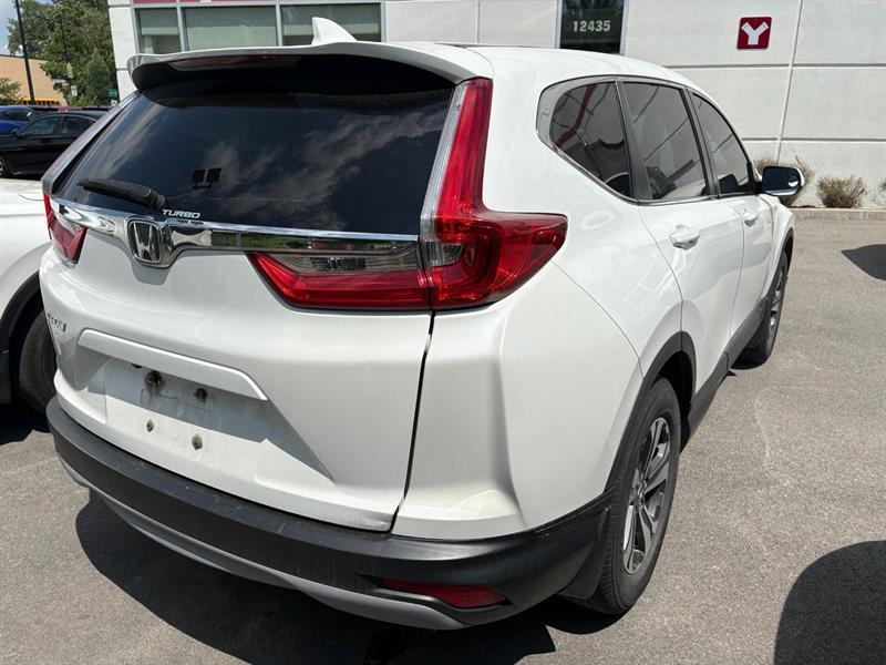 2019 Honda CR-V - Image 3