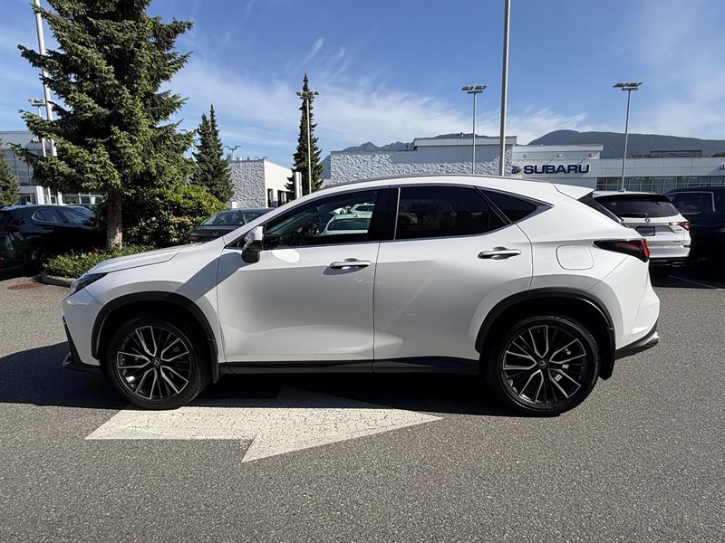 lexus NX 2022 - 2