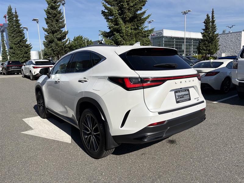 lexus NX 2022 - 3