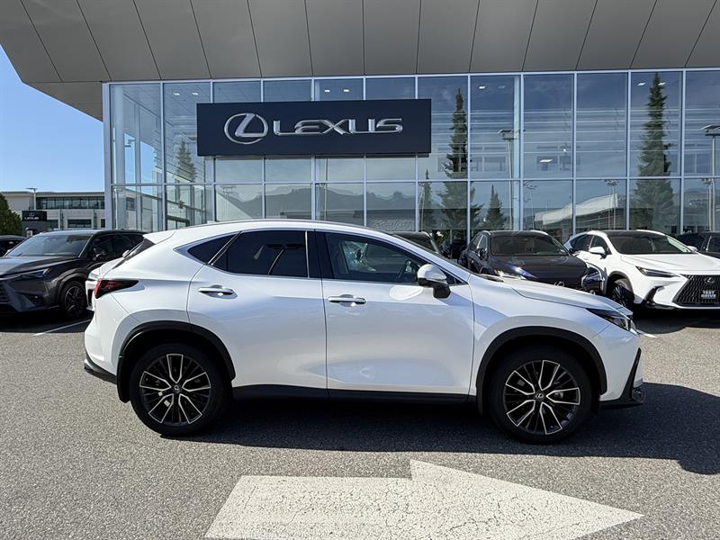 lexus NX 2022 - 6