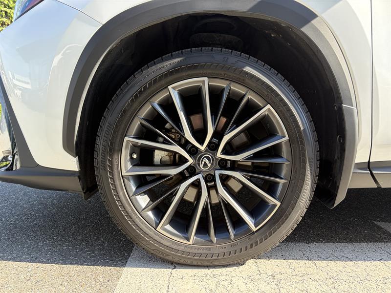 lexus NX 2022 - 25