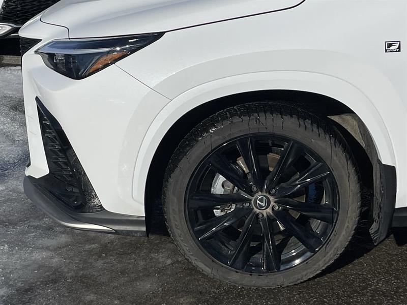 lexus NX 2024 - 18