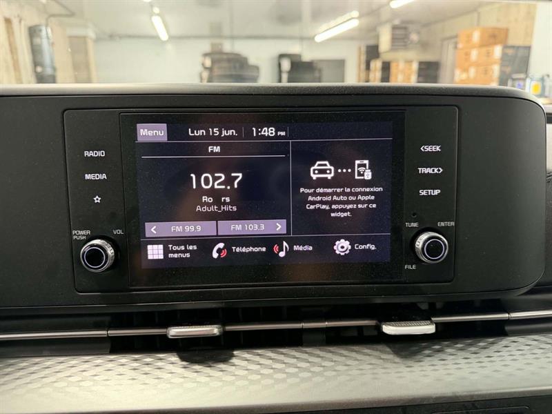 kia Carnival 2024 - 14