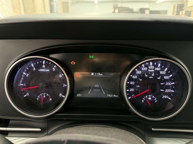 kia Carnival 2024 - 21