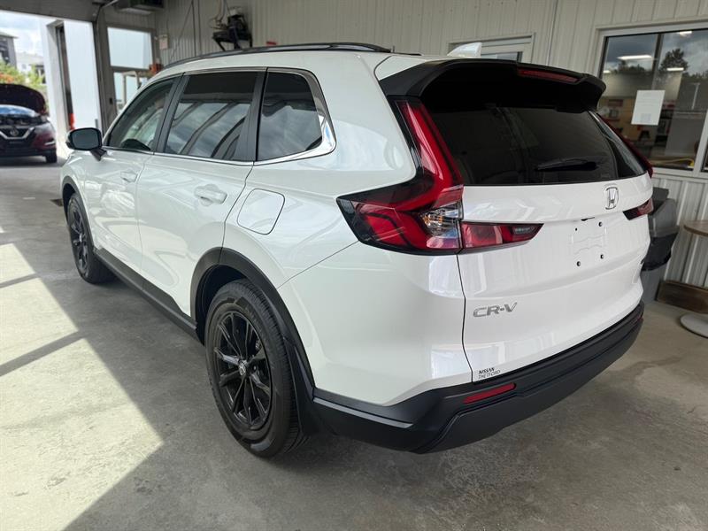 honda CR-V 2025 - 6