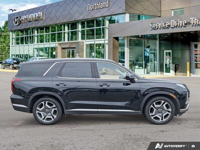 hyundai Palisade 2024 - 6