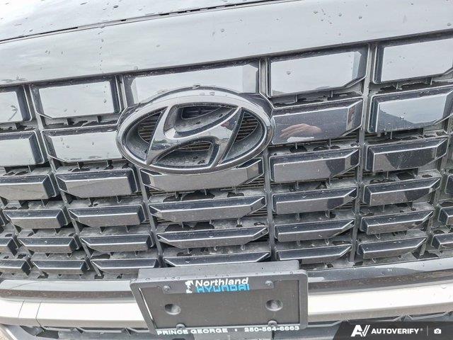 hyundai Palisade 2024 - 12