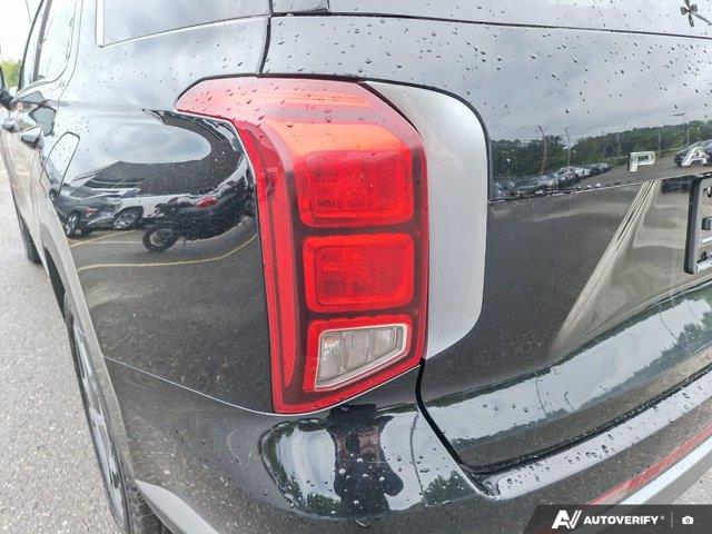 hyundai Palisade 2024 - 13
