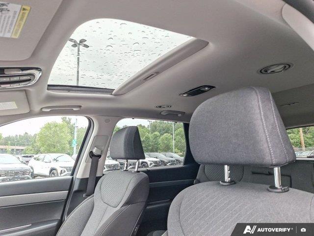 hyundai Palisade 2024 - 28