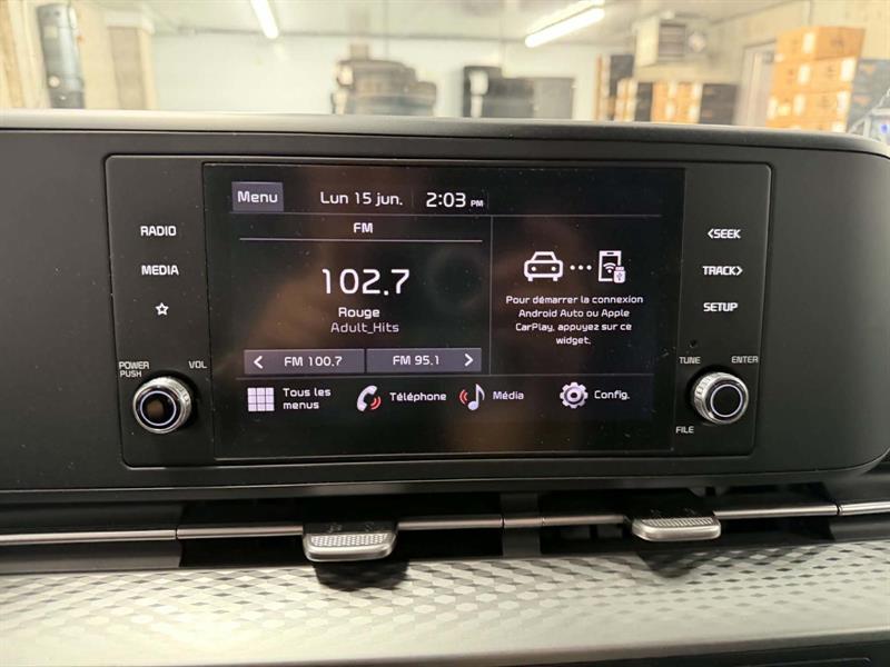 kia Carnival 2024 - 14