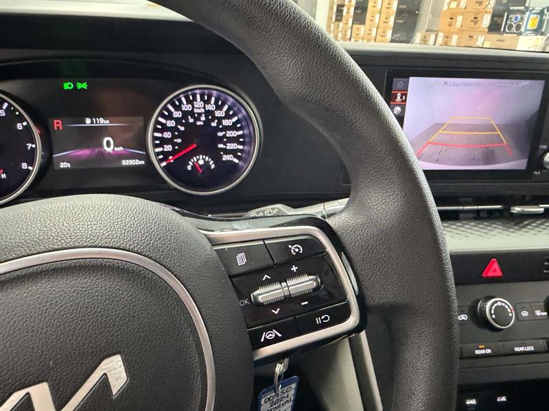 kia Carnival 2024 - 19