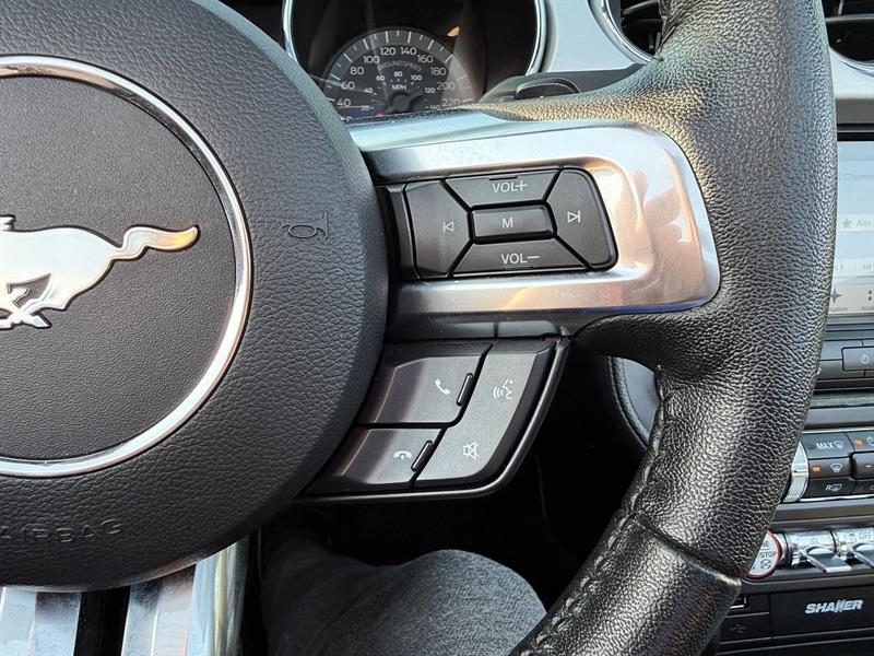 ford Mustang 2016 - 30