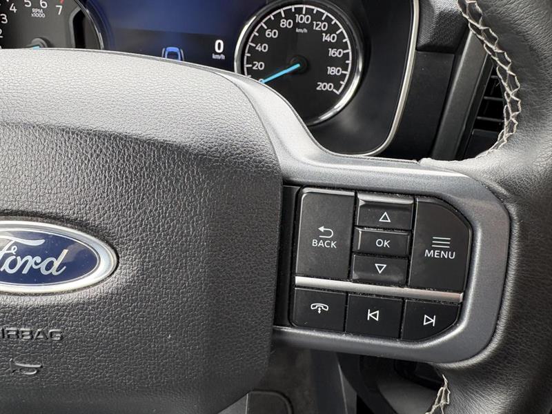 ford F-150 2023 - 19