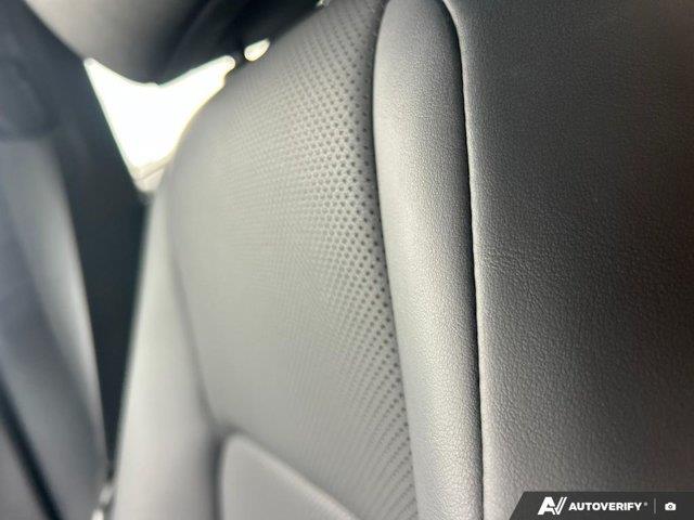 lexus IS 2024 - 23