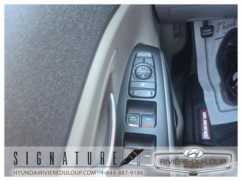 kia Sedona 2018 - 19