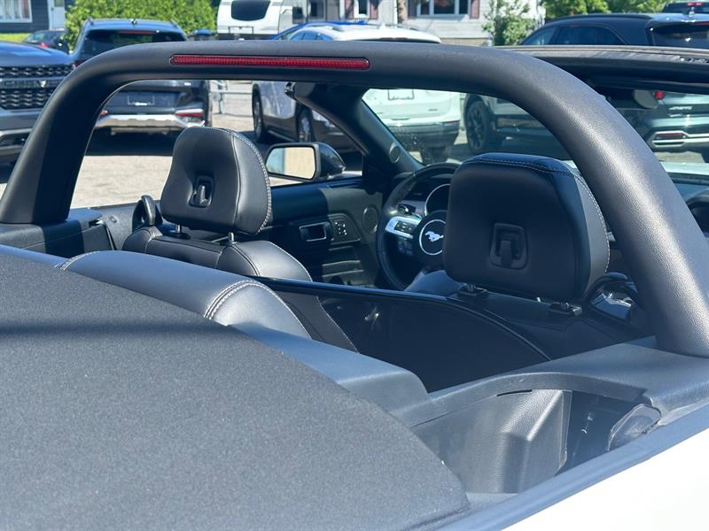 ford Mustang 2023 - 20