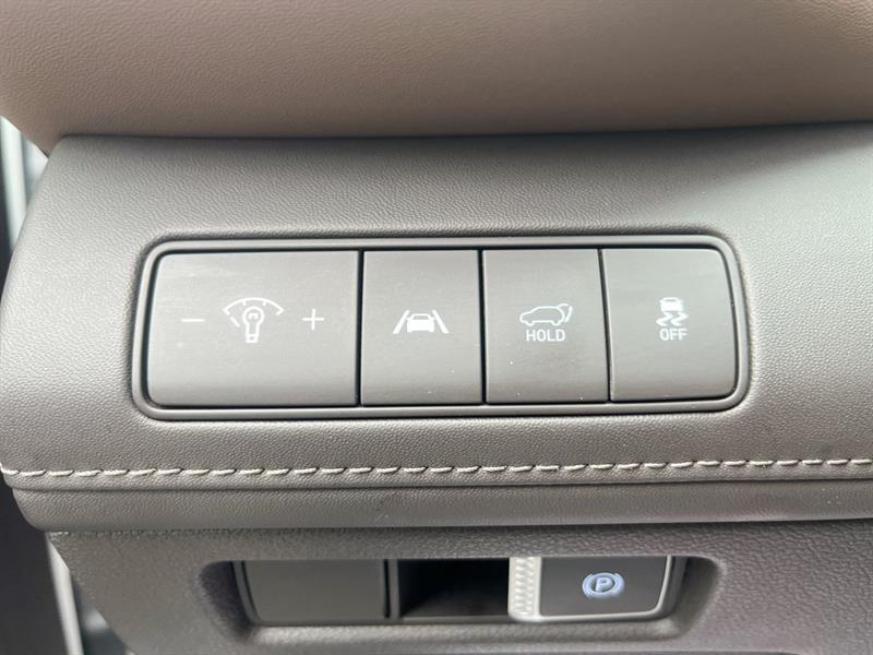 hyundai Santa Fe Hybrid 2021 - 22