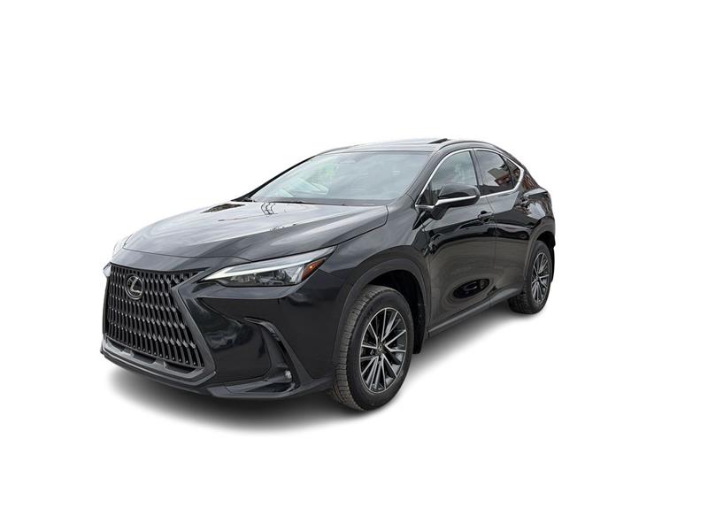 lexus NX 2025 - 6