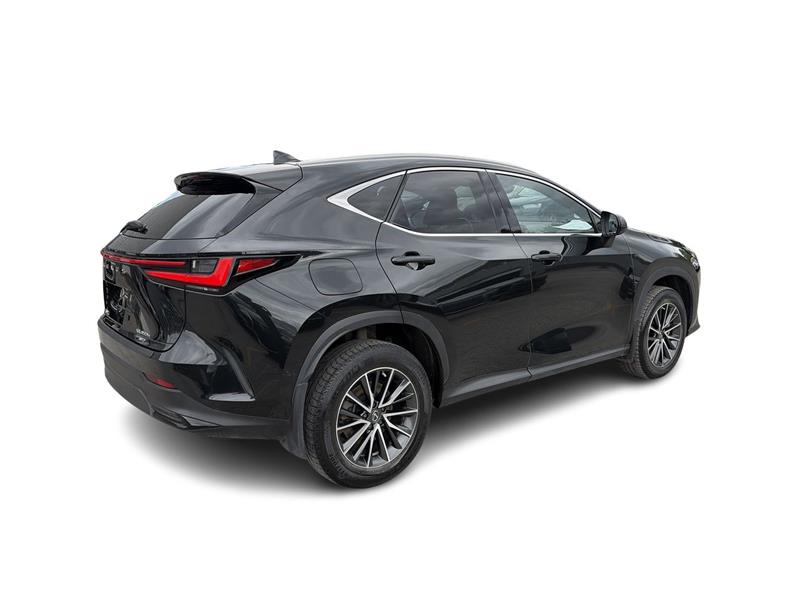 lexus NX 2025 - 15