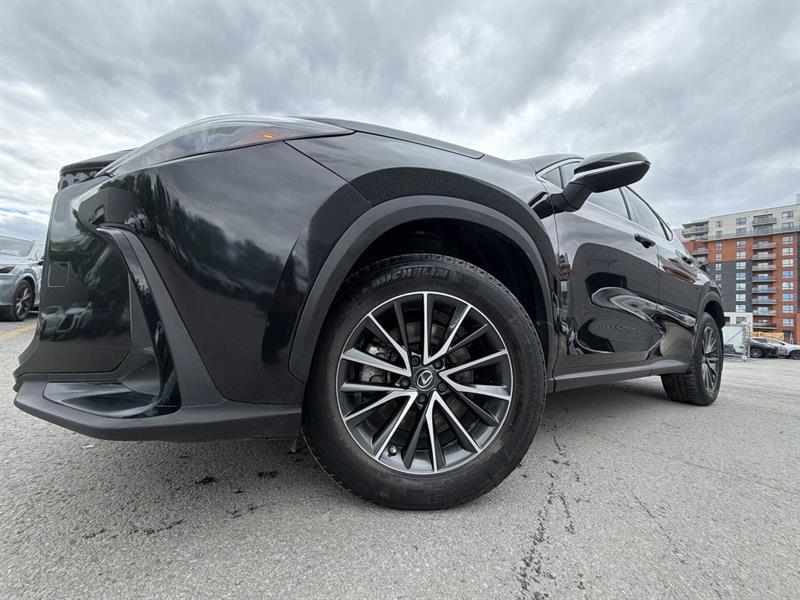lexus NX 2025 - 18
