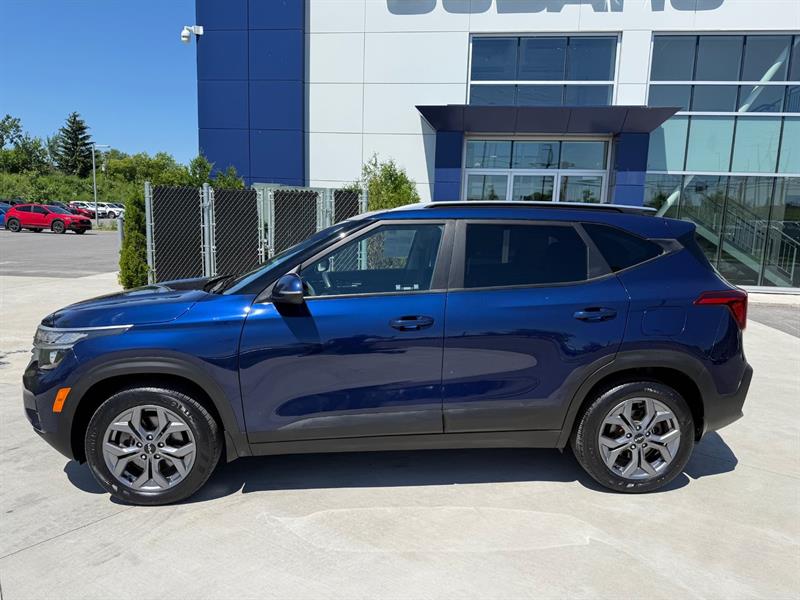 kia Seltos 2024 - 6