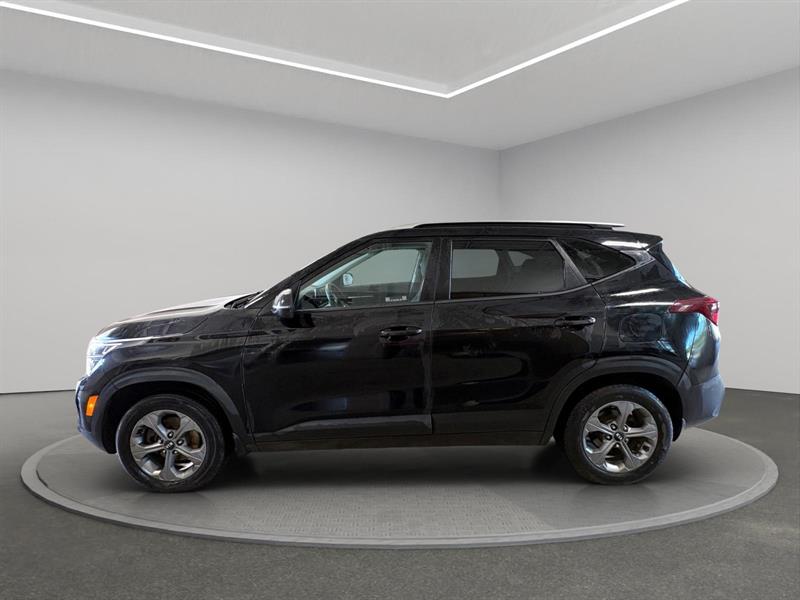 kia Seltos 2021 - 2