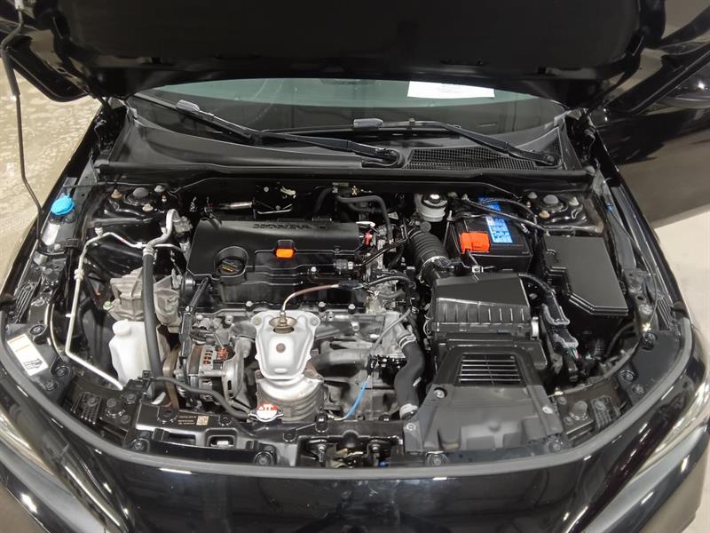 kia Carnival 2024 - 17