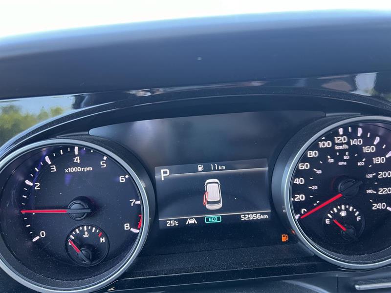 kia Carnival 2024 - 18