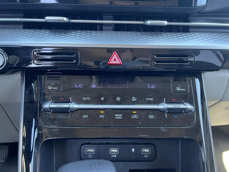 kia Carnival 2024 - 21