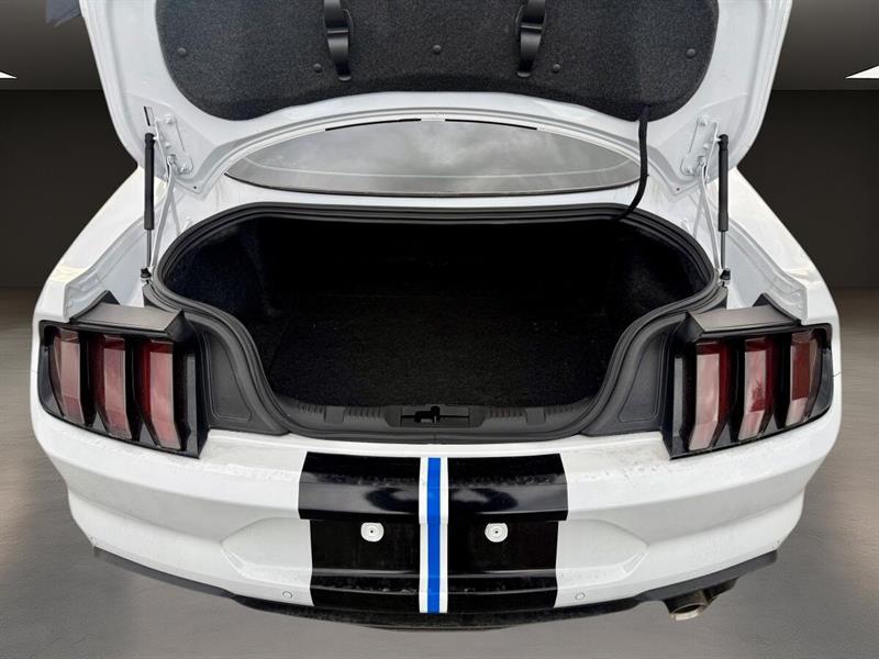 ford Mustang 2022 - 9