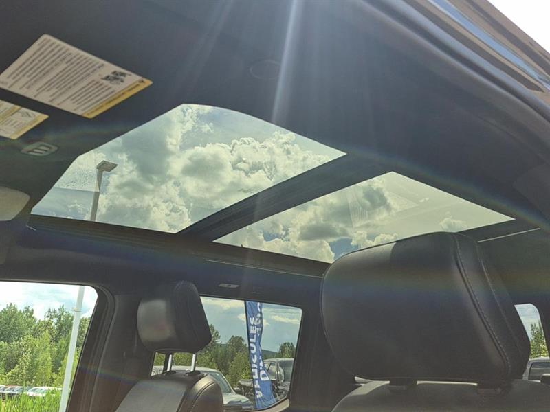 ford F-150 2021 - 16