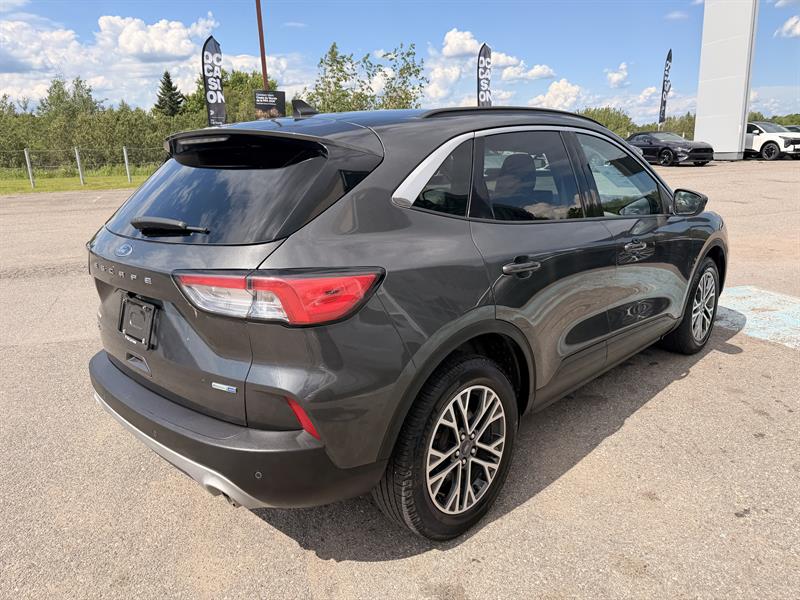 ford Escape 2020 - 7