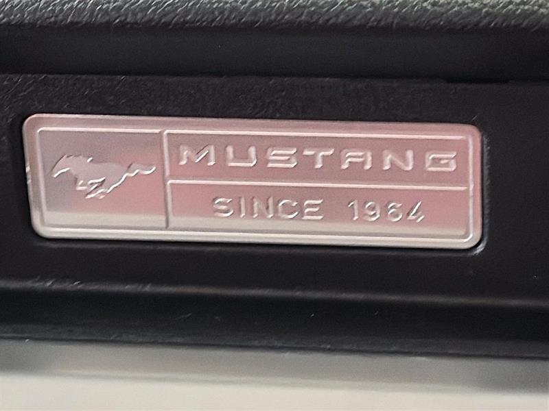 ford Mustang 2017 - 17