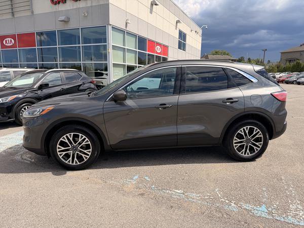 ford Escape 2020 - 4