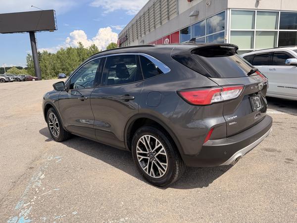 ford Escape 2020 - 5